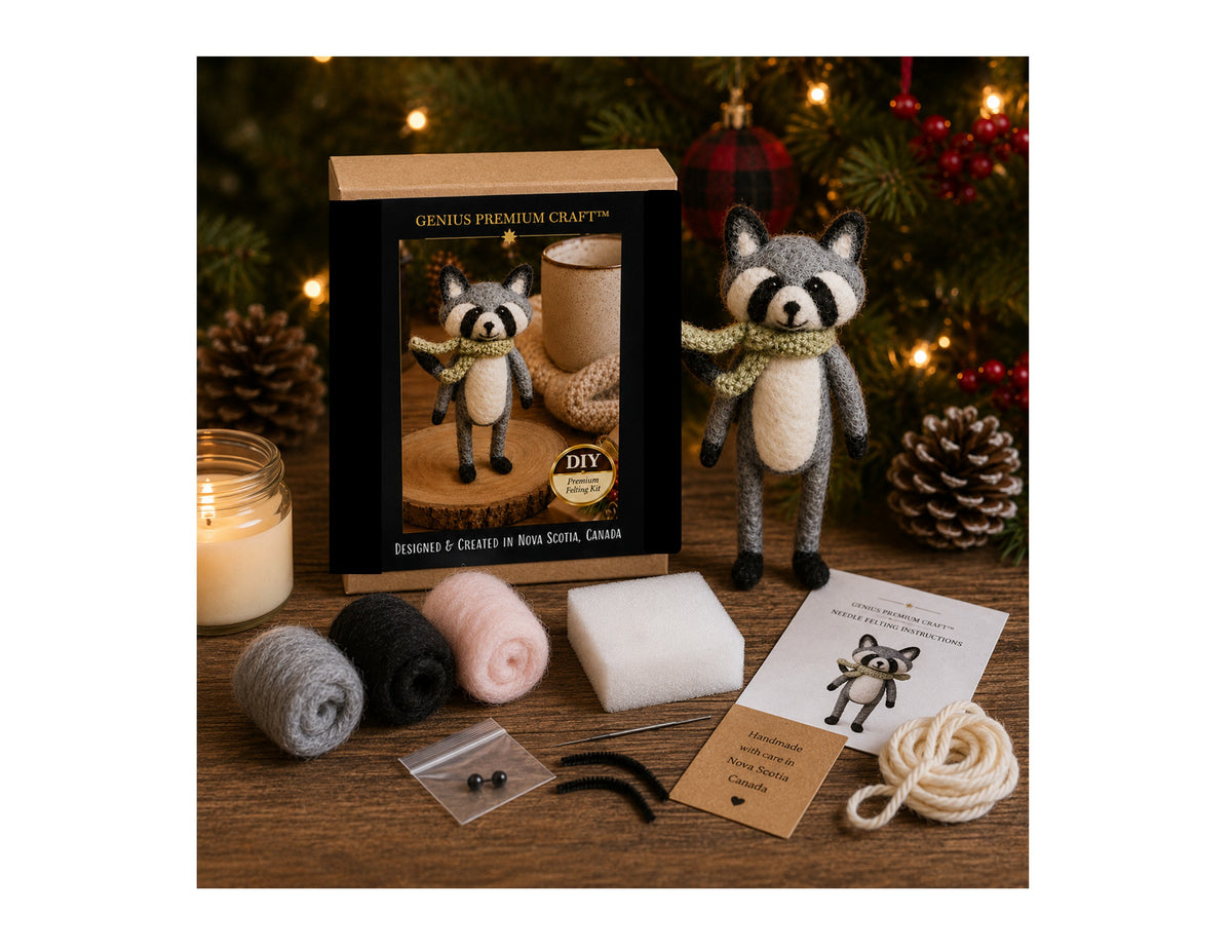 Raccoon Felting DIY Kit - English/French
