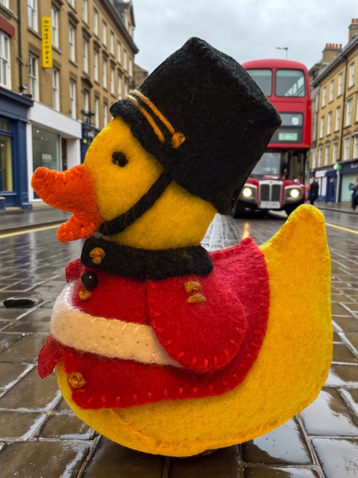 Duck Sewing Kit SOLDIER (EN/FR) – DIY Souvenir